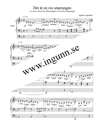 Det är en ros utsprungen - orgelsolo